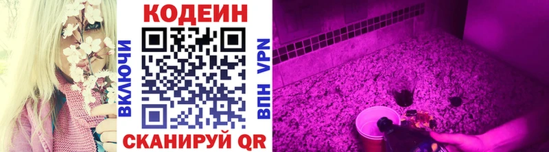 KRAKEN   Сердобск  Кодеин Purple Drank 