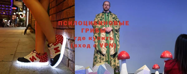молекула духа Приозерск