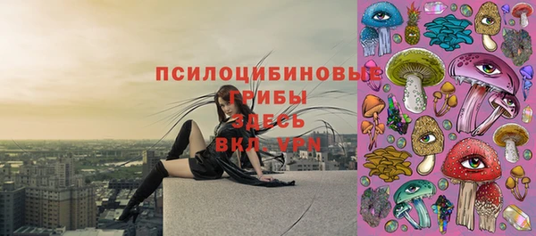 прущая мука Протвино