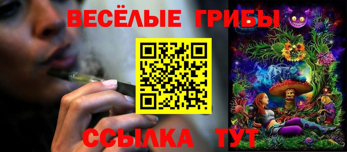 наркота  Псилоцибиновые грибы Psilocybe  Сердобск  Вход с VPN  Псилоцибиновые грибы MAGIC MUSHROOMS 