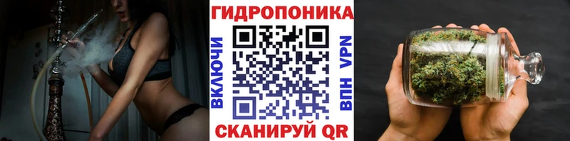 купить  цена  Сердобск  Бошки марихуана гибрид 